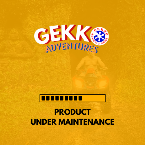 ATV UNDER MAINTENACE